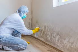 Best Basement Mold Removal  in Edgemere, MD