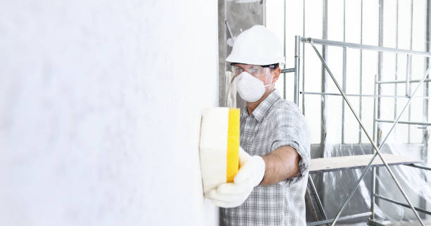 Mold Remediation for Vacation Homes in Edgemere, MD